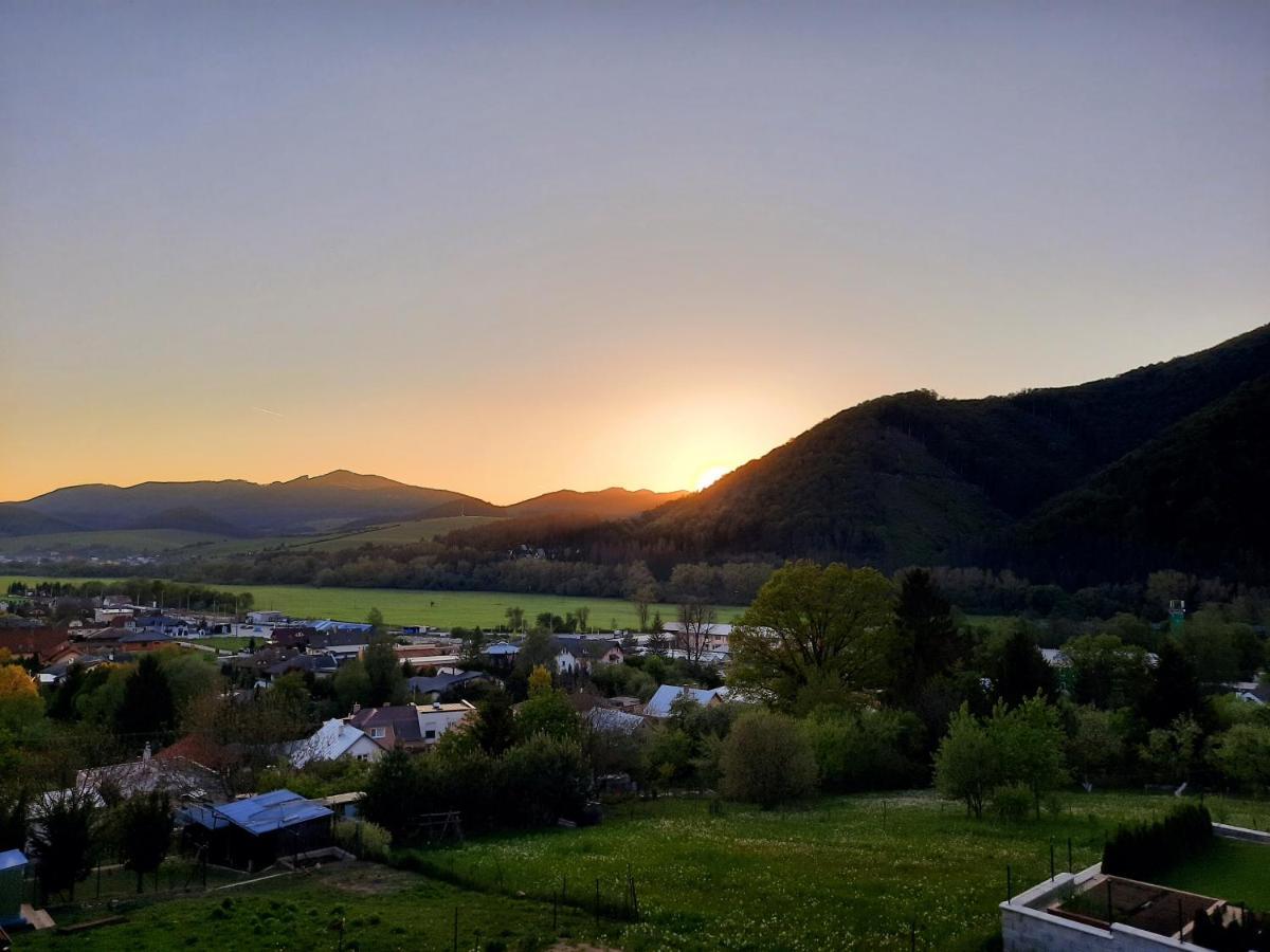 Vila Viktoria Rajecké Teplice Exteriér fotografie